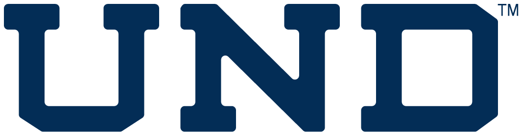 Notre Dame Fighting Irish 0-Pres Wordmark Logo v3 diy fabric transfer